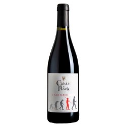 Domaine Le Conte Des Floris Languedoc 6 Rah Noir Bio | French Wine